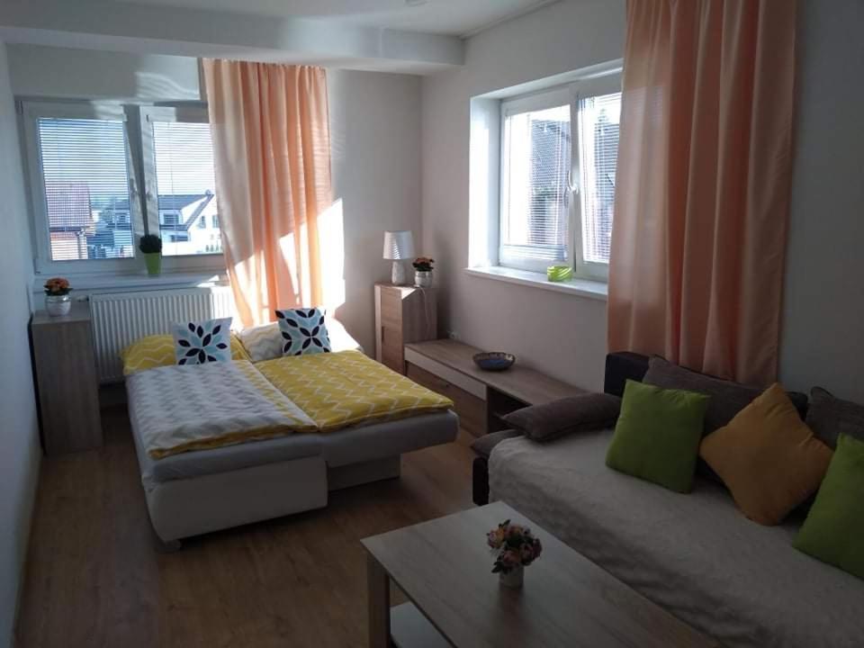 Apartman Naomi E12 Nova Lesna Ngoại thất bức ảnh